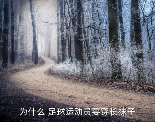 體育生足球襪,足球體育生可以考哪些大學