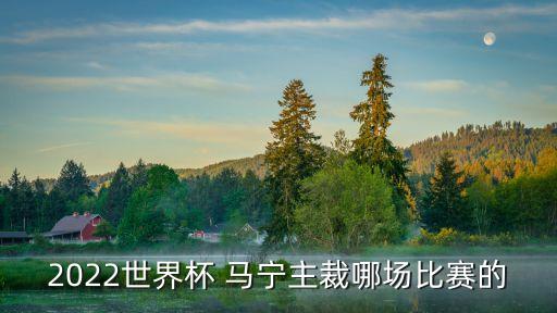 2022世界杯 馬寧主裁哪場比賽的