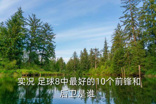  實(shí)況 足球8中最好的10個(gè)前鋒和后衛(wèi)是誰(shuí)
