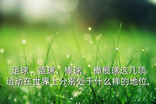  足球、籃球、棒球、 橄欖球這幾項(xiàng)運(yùn)動(dòng)在世界上分別處于什么樣的地位...
