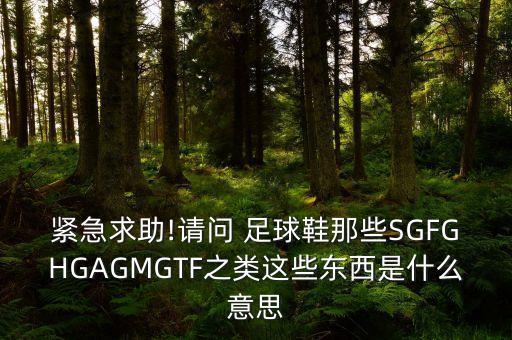 緊急求助!請(qǐng)問 足球鞋那些SGFGHGAGMGTF之類這些東西是什么意思