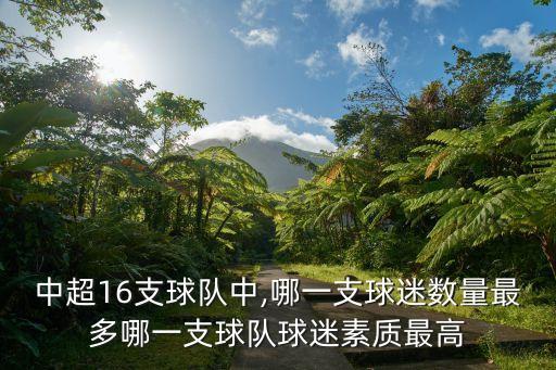 中國甲級聯(lián)賽足球強(qiáng)隊(duì),澳大利亞甲級聯(lián)賽ds足球