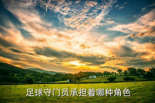  足球守門(mén)員承擔(dān)著哪種角色