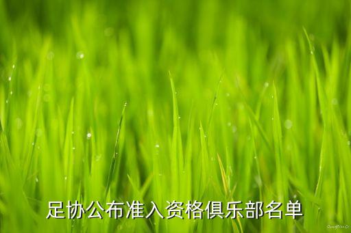 大連現(xiàn)在有幾個(gè)足球隊(duì),大連有幾個(gè)職業(yè)足球隊(duì)