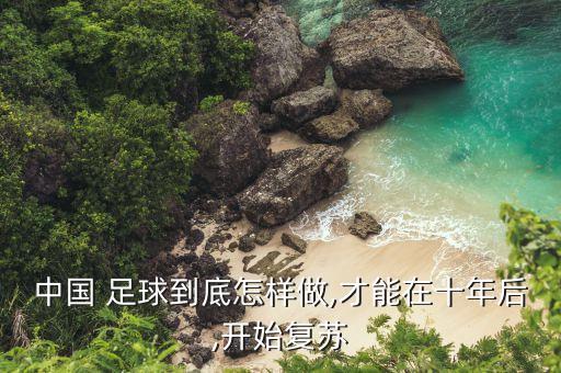 中國 足球到底怎樣做,才能在十年后,開始復蘇