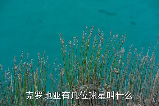 實況足球2012 耶拉維奇