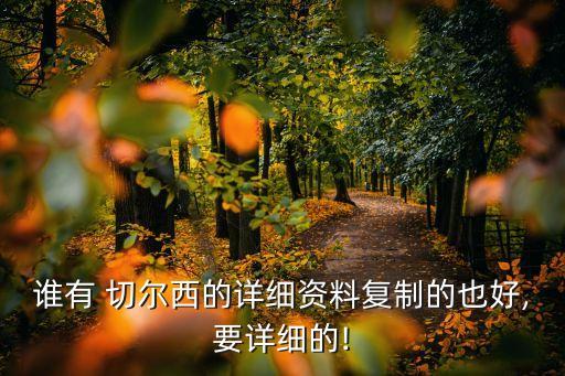 誰(shuí)有 切爾西的詳細(xì)資料復(fù)制的也好,要詳細(xì)的!