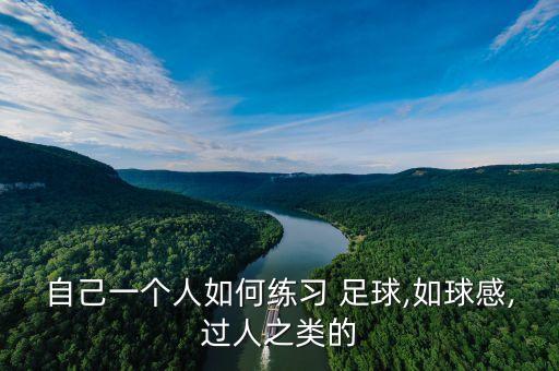 自己一個(gè)人如何練習(xí) 足球,如球感,過(guò)人之類的
