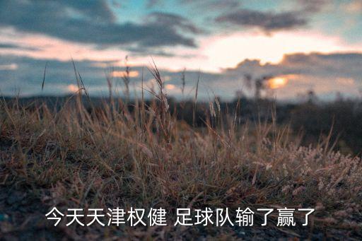 今天天津權(quán)健 足球隊輸了贏了
