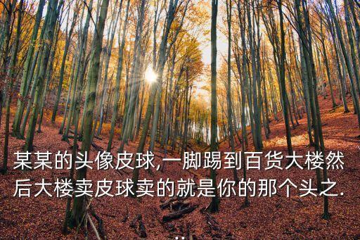 某某的頭像皮球,一腳踢到百貨大樓然后大樓賣皮球賣的就是你的那個頭之...
