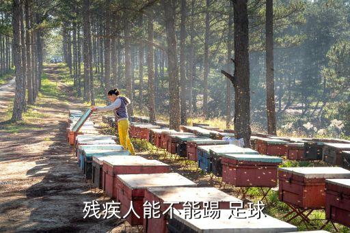 殘奧會(huì)有沒有足球項(xiàng)目,亞運(yùn)有沒有足球項(xiàng)目