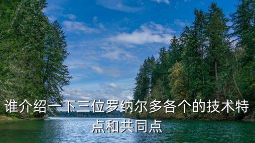 誰(shuí)介紹一下三位羅納爾多各個(gè)的技術(shù)特點(diǎn)和共同點(diǎn)