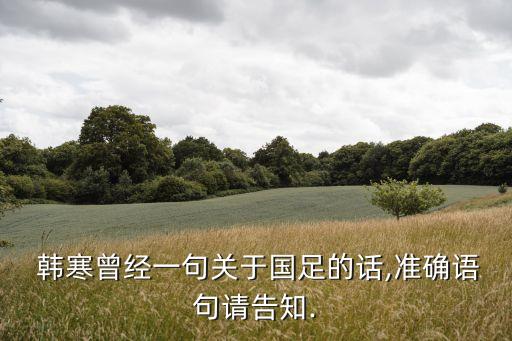  韓寒曾經(jīng)一句關(guān)于國足的話,準確語句請告知.