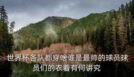 世界杯足球運(yùn)動(dòng)員走光看到內(nèi)褲