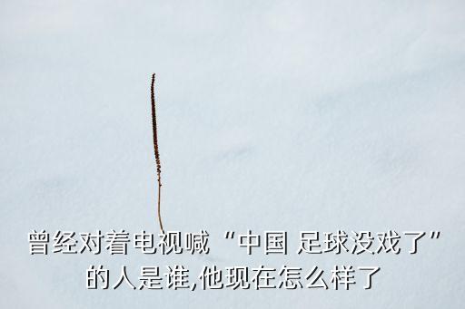 曾經(jīng)對(duì)著電視喊“中國(guó) 足球沒戲了”的人是誰,他現(xiàn)在怎么樣了