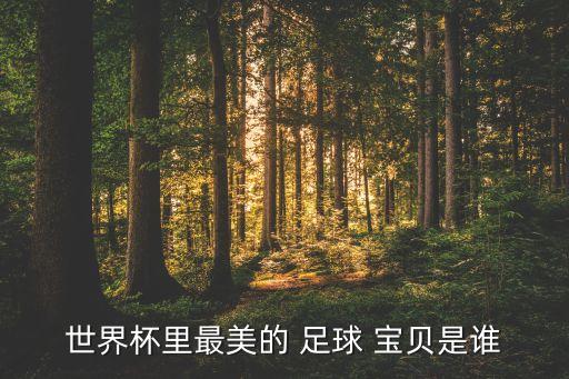 世界杯里最美的 足球 寶貝是誰