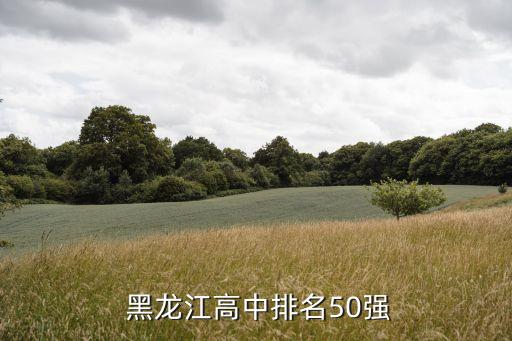 黑龍江足球場