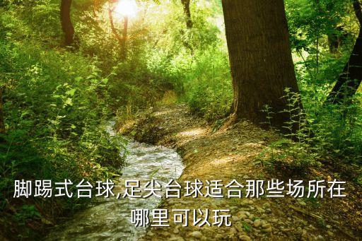 沈陽小飛俠足球培訓(xùn),小飛俠足球運動員是誰