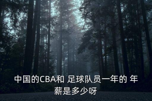 中國(guó)的CBA和 足球隊(duì)員一年的 年薪是多少呀