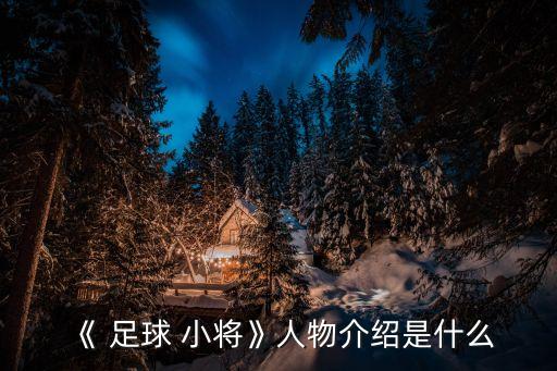 足球小將日本隊陣容