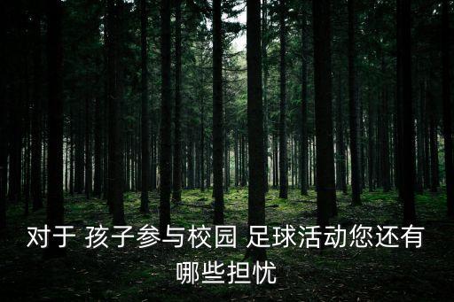 對于 孩子參與校園 足球活動您還有哪些擔(dān)憂