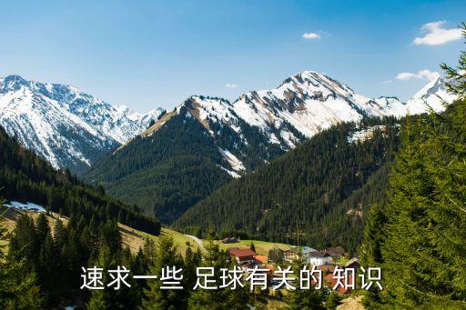 速求一些 足球有關(guān)的 知識(shí)
