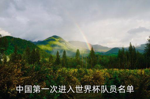 中國第一次進(jìn)入世界杯隊(duì)員名單