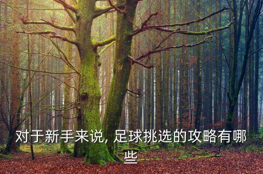 對(duì)于新手來說, 足球挑選的攻略有哪些