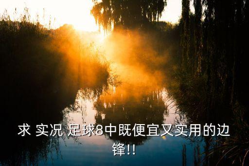 求 實況 足球8中既便宜又實用的邊鋒!!