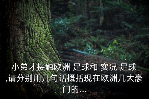 小弟才接觸歐洲 足球和 實況 足球,請分別用幾句話概括現在歐洲幾大豪門的...