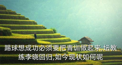 踢球想成功必須要把青訓做起來,壇教練李曉回歸,如今現(xiàn)狀如何呢