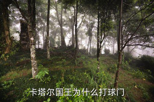 卡塔爾國(guó)王為什么打球門