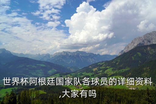 世界杯阿根廷國(guó)家隊(duì)各球員的詳細(xì)資料,大家有嗎