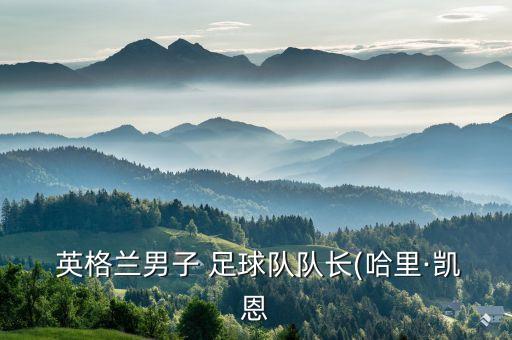 今足球英格蘭對巴拿馬