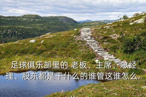  足球俱樂部里的 老板、主席、總經(jīng)理、股東都是干什么的誰管這誰怎么...
