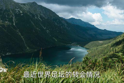最近世界足壇的轉(zhuǎn)會(huì)情況