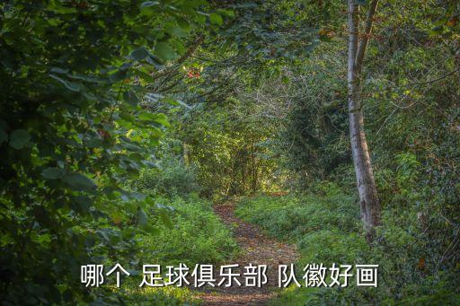 哪個(gè) 足球俱樂部 隊(duì)徽好畫