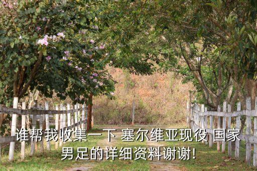 2018年塞爾維亞國家足球隊,塞爾維亞國家足球隊世界排名