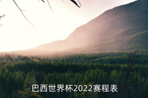 巴西足球隊最近比賽戰(zhàn)績,特爾斯達足球隊近期比賽戰(zhàn)績