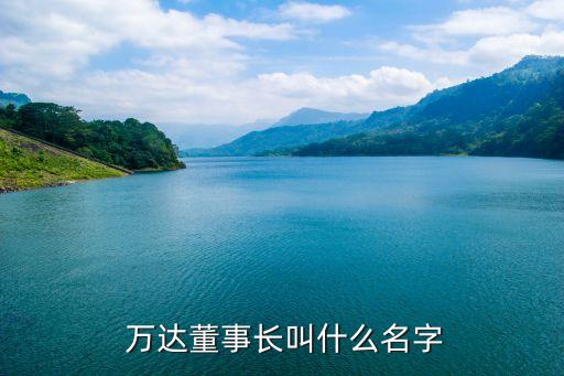  萬(wàn)達(dá)董事長(zhǎng)叫什么名字