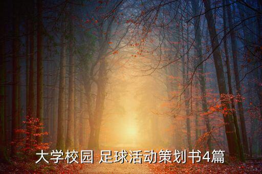 大學(xué)校園 足球活動策劃書4篇