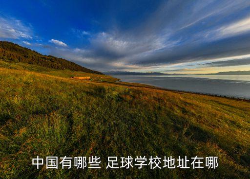 中國(guó)有哪些 足球?qū)W校地址在哪