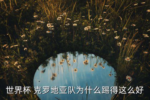 克羅地亞足球隊長博班,博班評價克羅地亞足球