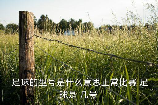 練足球 用幾號球好