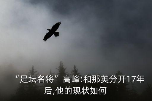 “足壇名將”高峰:和那英分開(kāi)17年后,他的現(xiàn)狀如何