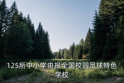 125所中小學(xué)申報(bào)全國校園足球特色學(xué)校