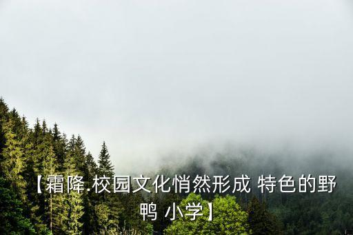 小學(xué)足球特色