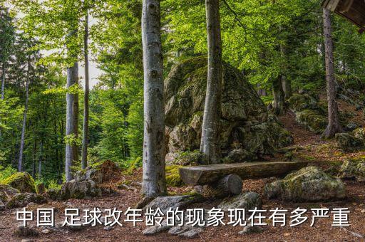 骨齡測試和足球比賽的關系