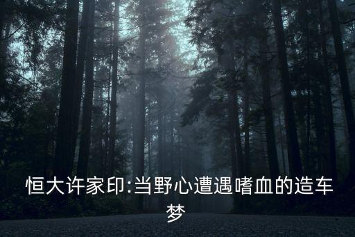  恒大許家印:當野心遭遇嗜血的造車夢