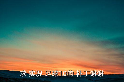 實況足球10球場補丁